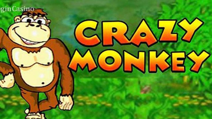 crazy-monkey